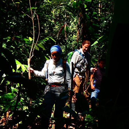 Amazon Acai Lodge Летисия Экстерьер фото