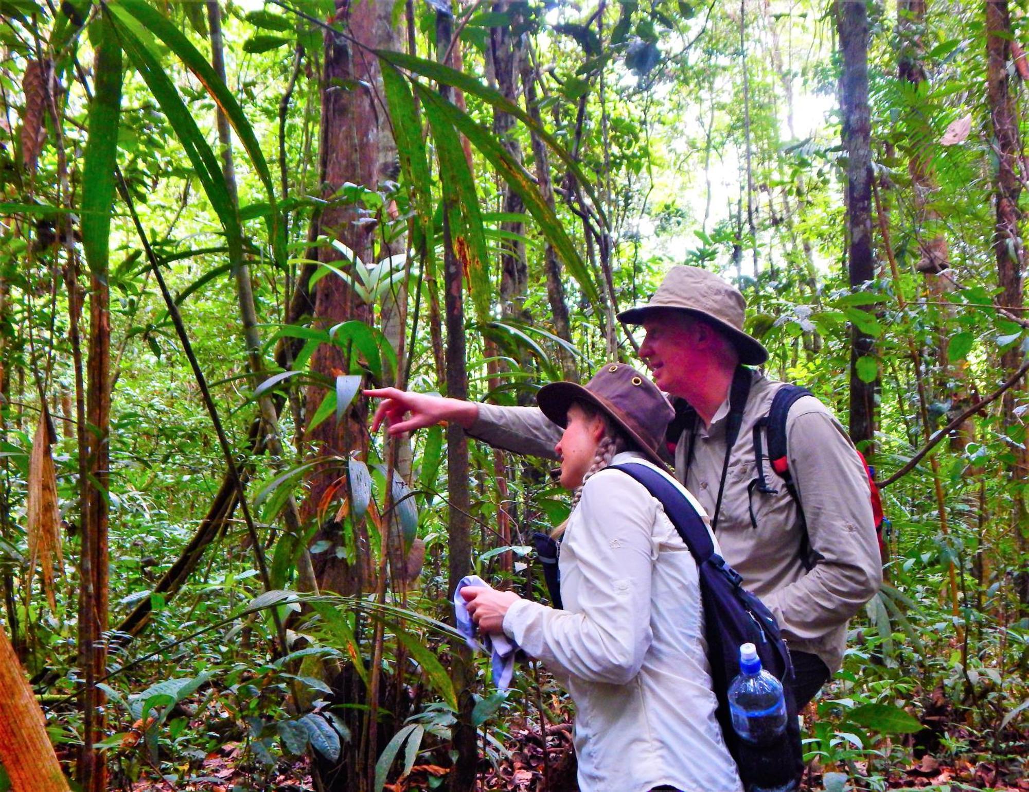 Amazon Acai Lodge Летисия Экстерьер фото