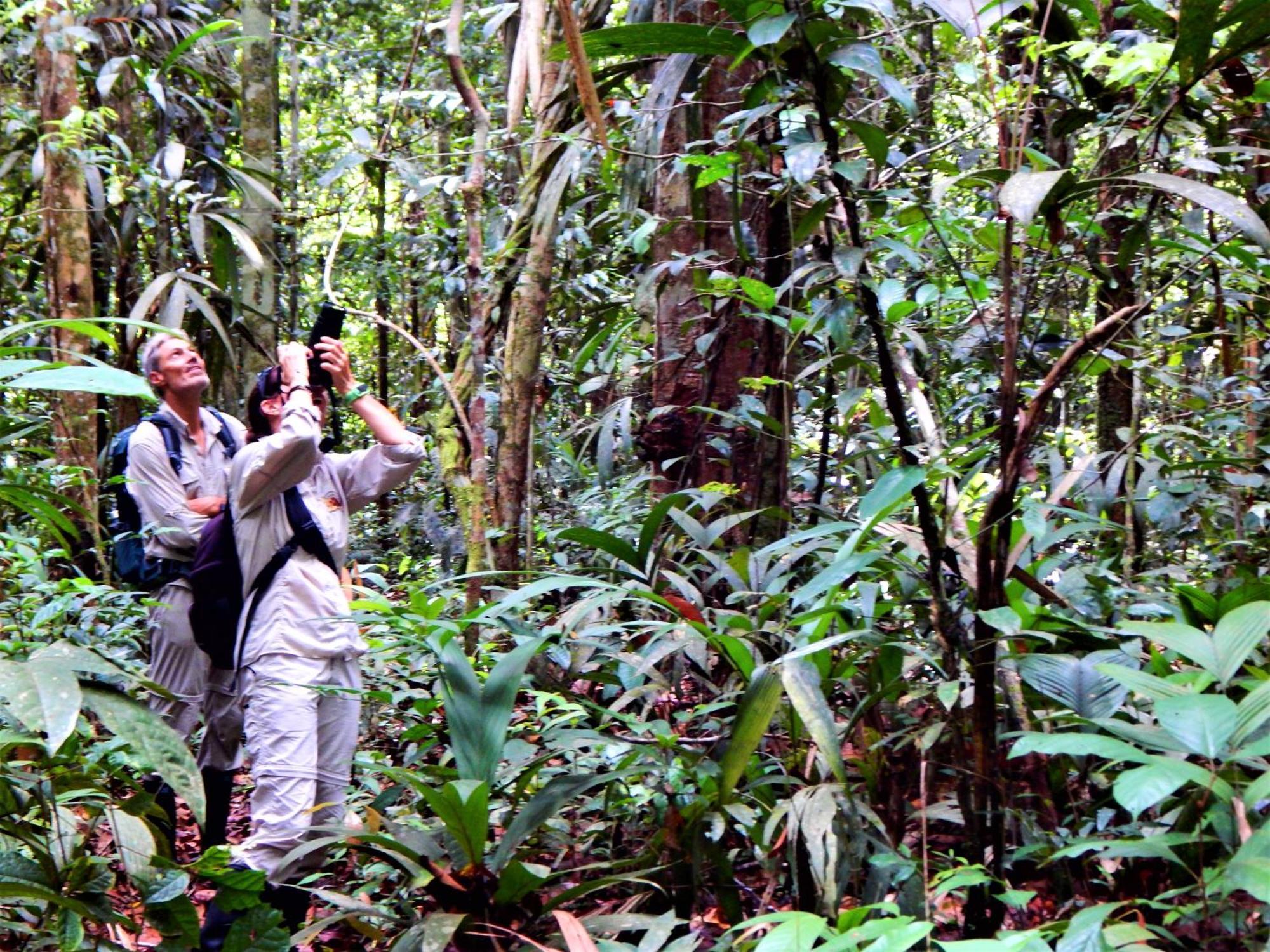 Amazon Acai Lodge Летисия Экстерьер фото