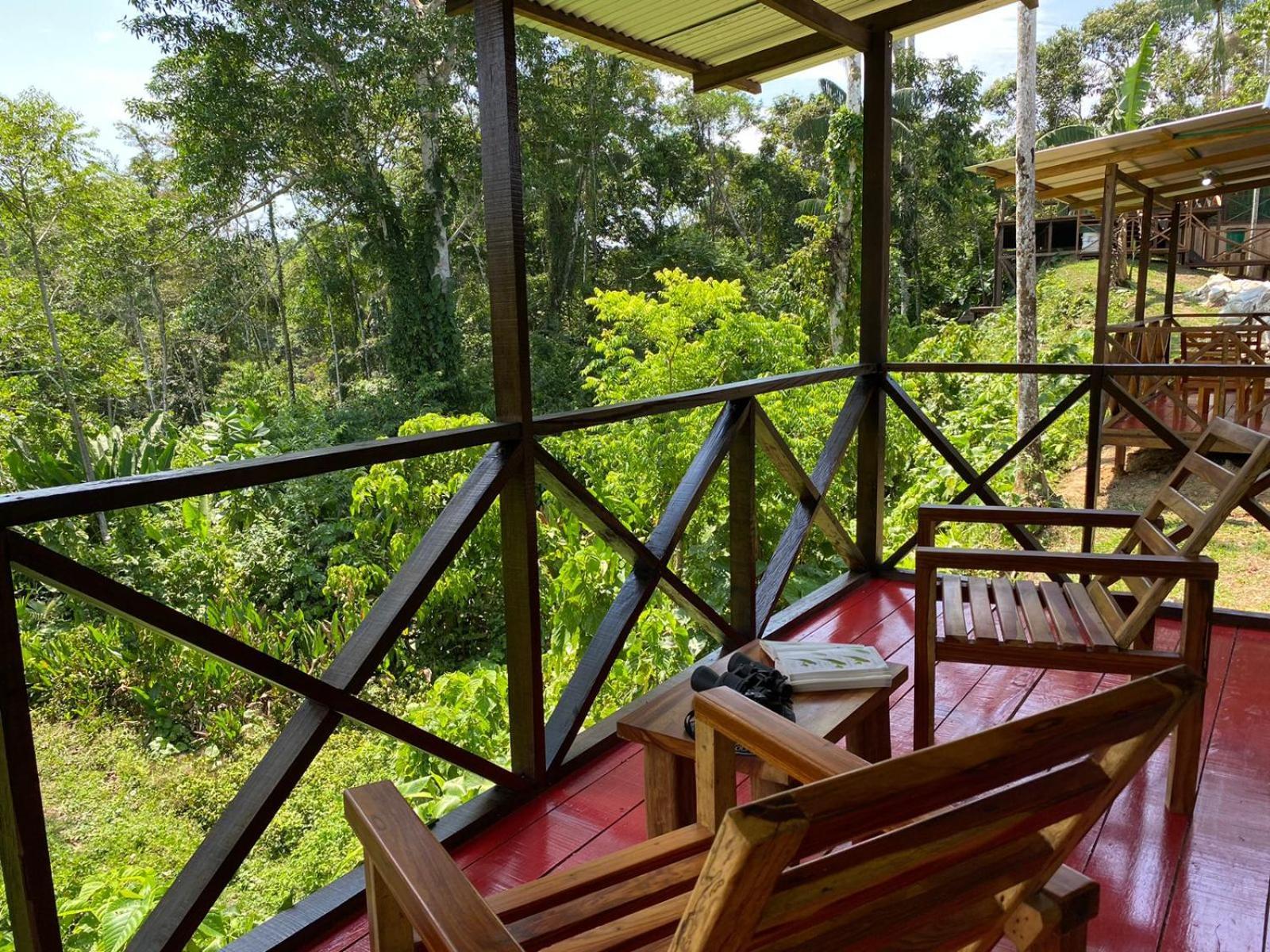 Amazon Acai Lodge Летисия Экстерьер фото