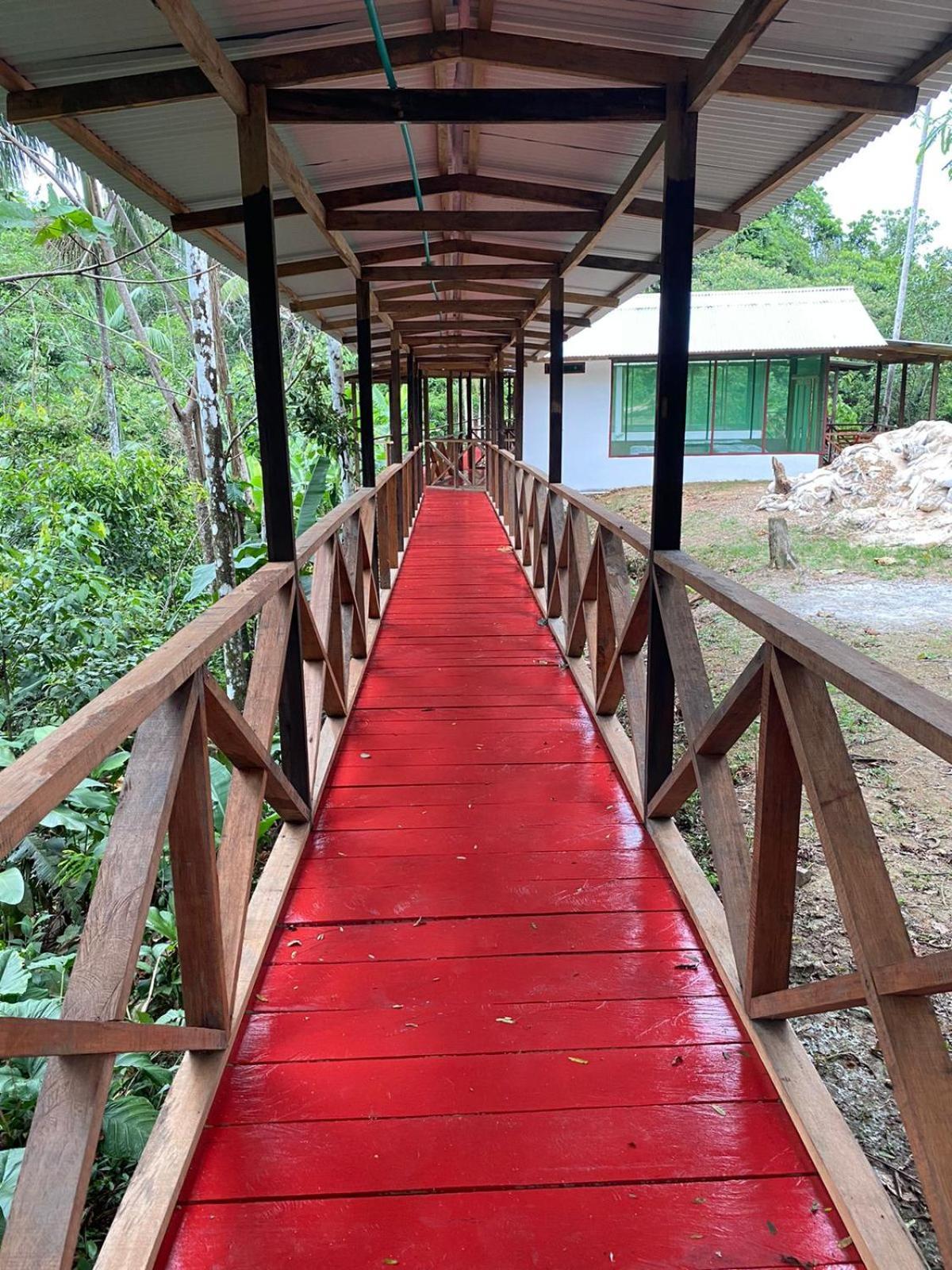 Amazon Acai Lodge Летисия Экстерьер фото