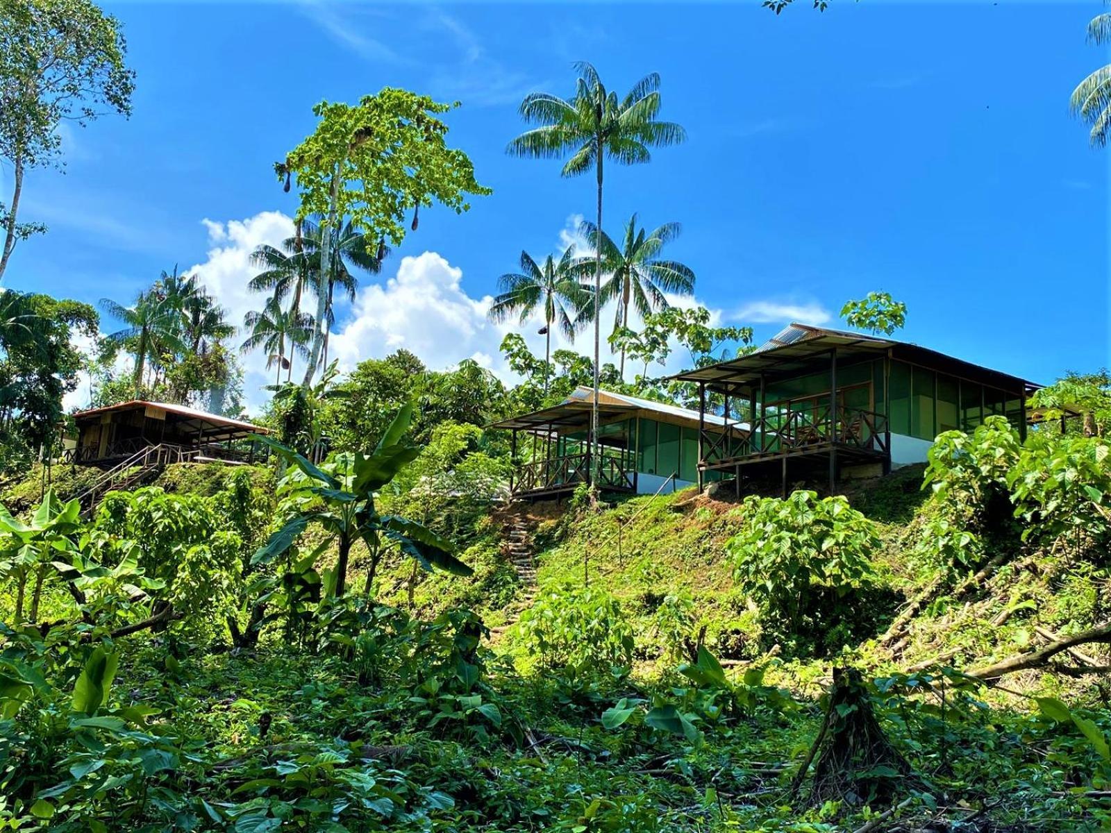 Amazon Acai Lodge Летисия Экстерьер фото