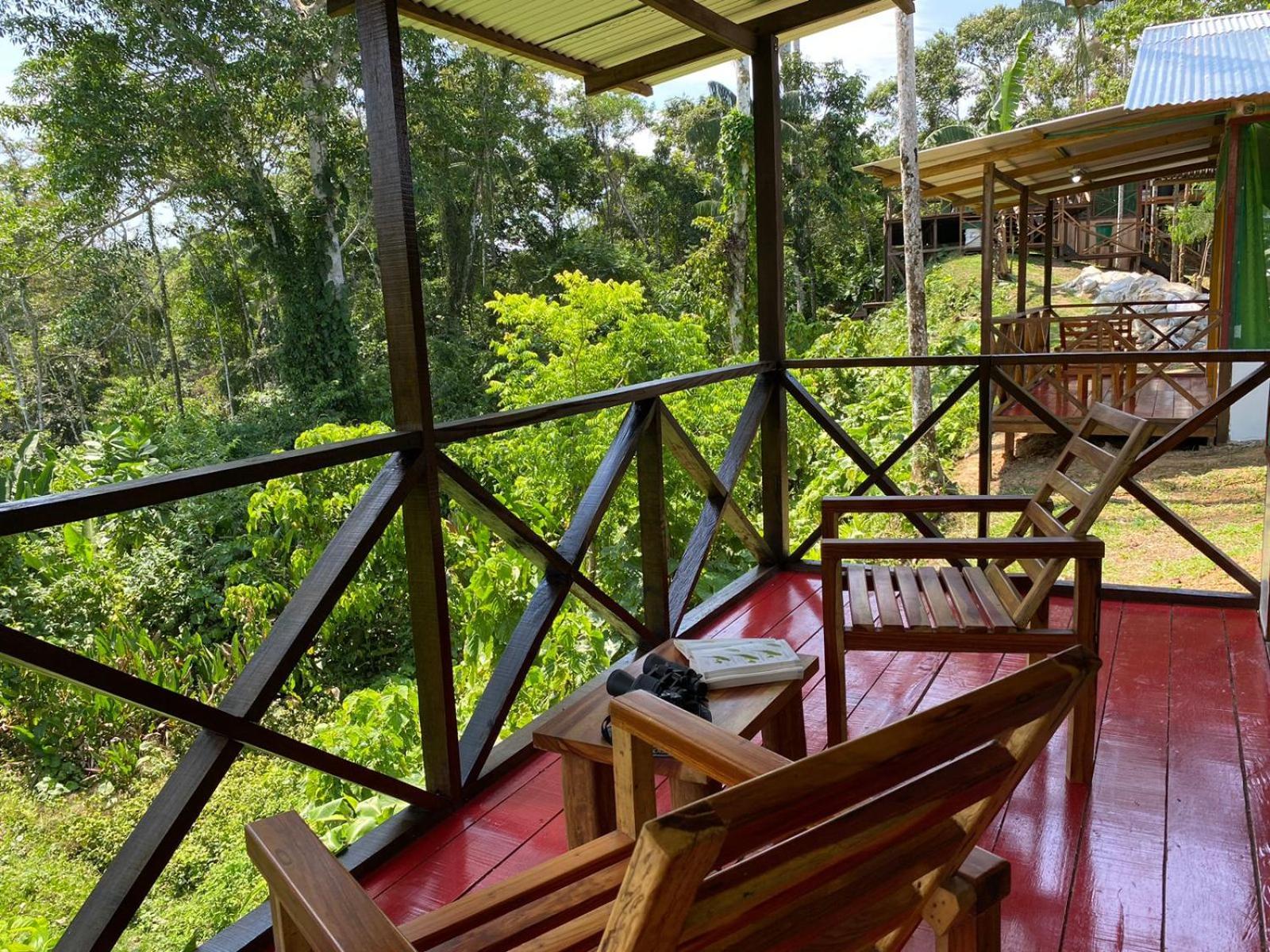 Amazon Acai Lodge Летисия Экстерьер фото